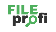 FileProfi - профессиональное восстановление данных в Чите